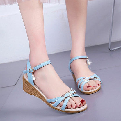 Fairy Style Peep Toe Sandals Women's Buckle Chunky Heel Shoes