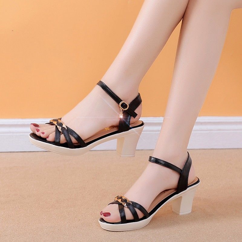 Fairy Style Peep Toe Sandals Women's Buckle Chunky Heel Shoes